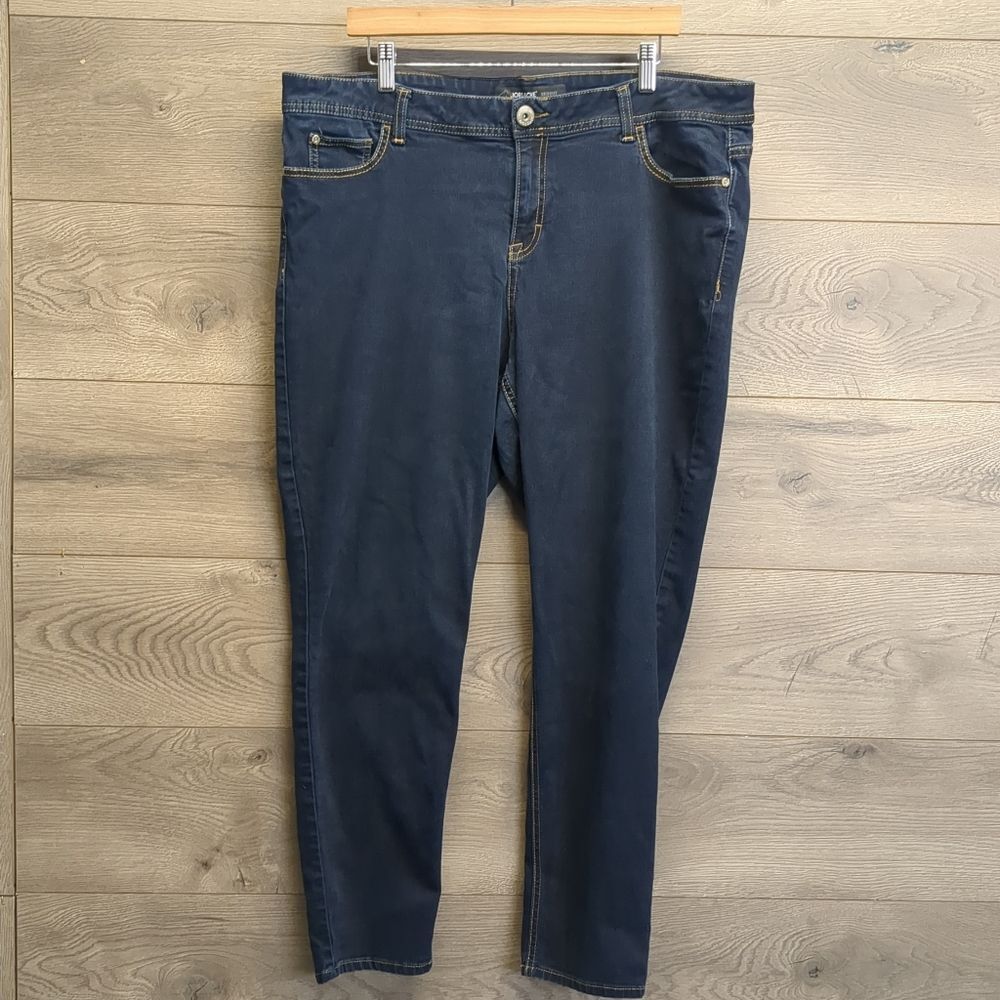 Jordache High Waist Skinny Jeans Women's Plus Size 22W